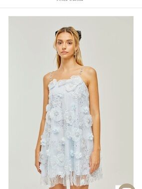 Embellished Light Blue Floral Appliqué Mini Dress